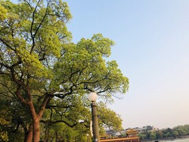 西湖