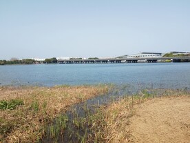 湖边浅滩草地