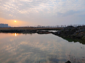 池塘夕阳