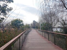 公园景观步道