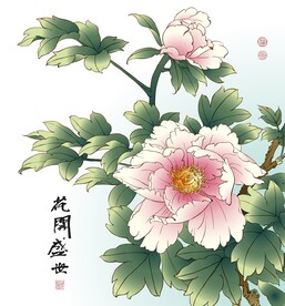 牡丹插画
