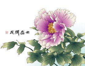 牡丹工笔画