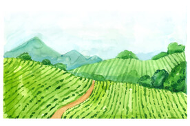 田园风背背景