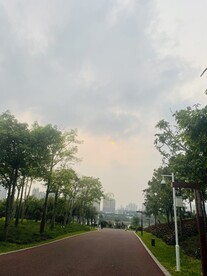 道路美景