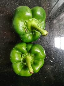 青椒