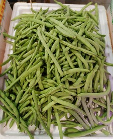 四季豆