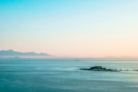 海
