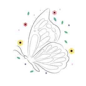 蝴蝶线稿 
