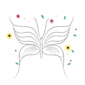 蝴蝶线稿