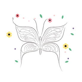 蝴蝶线稿  