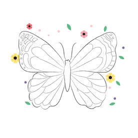 蝴蝶线稿