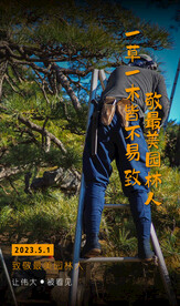 劳动节致敬园林人