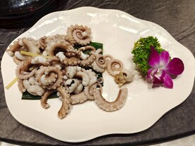 八爪鱼