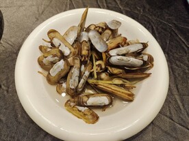 竹蛏
