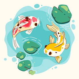 锦鲤插画