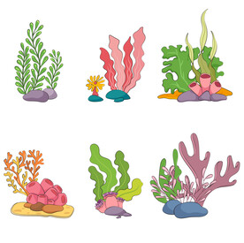 水草插画