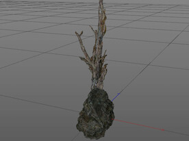 C4D模型 苔藓
