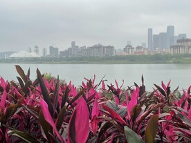 红色植物花卉