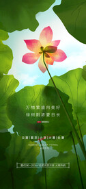 夏至