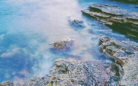 海水