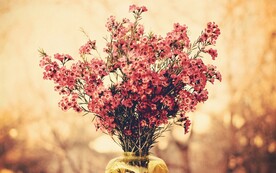 一束鲜花