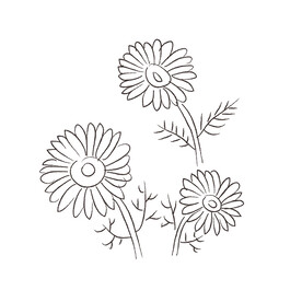花卉黑白线稿 