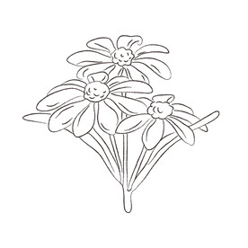 花卉黑白线稿   