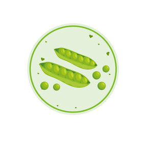 荷兰豆插画 
