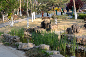 公园风景