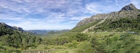 山林