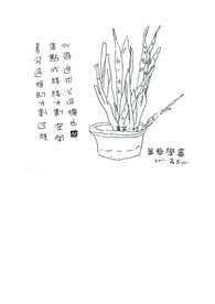 花卉速写
