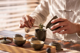 茶道品茶