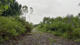 林间小路