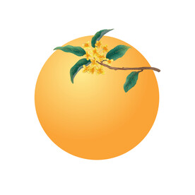 中秋节桂花