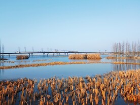 跨湖大桥远景