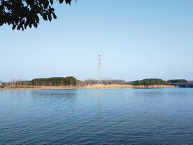 湖边信号塔
