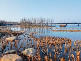 大桥远景