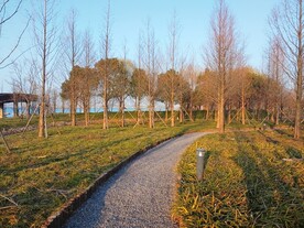 碎石小路