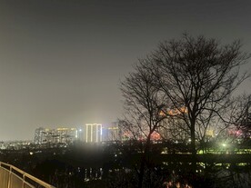 夜间树木