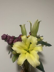 白百合花