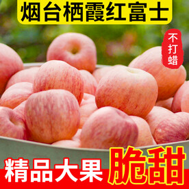 苹果主图