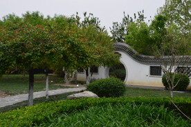 公园风景 