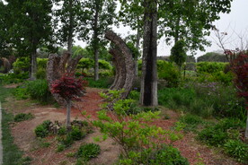 公园风景  