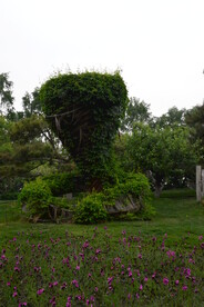 公园风景 