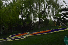 公园风景