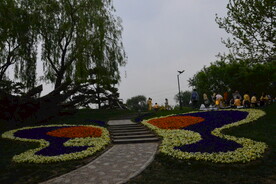 公园风景 