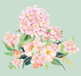 绣球