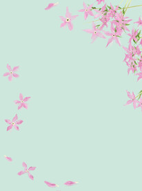 花朵