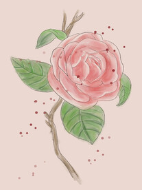 山茶花