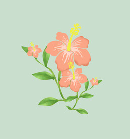 花朵